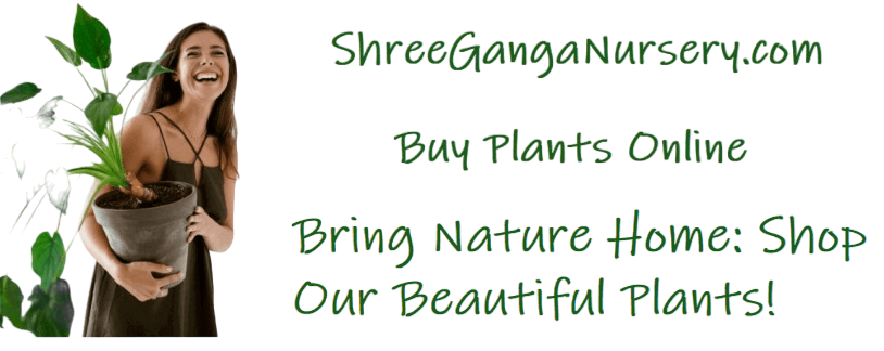 Shree Ganga Nursery